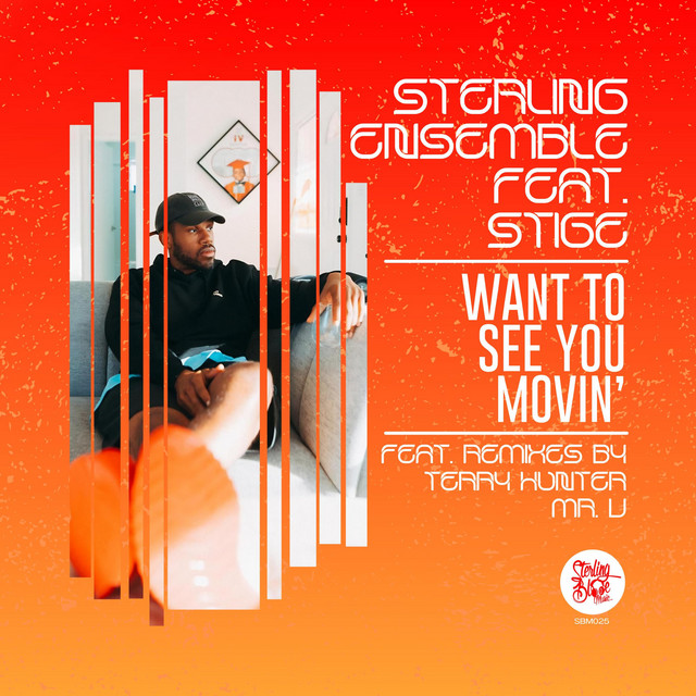 Want To See You Movin - Terry Hunter Remix cover art