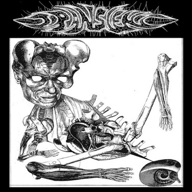 Split 7" with Superbad cover art
