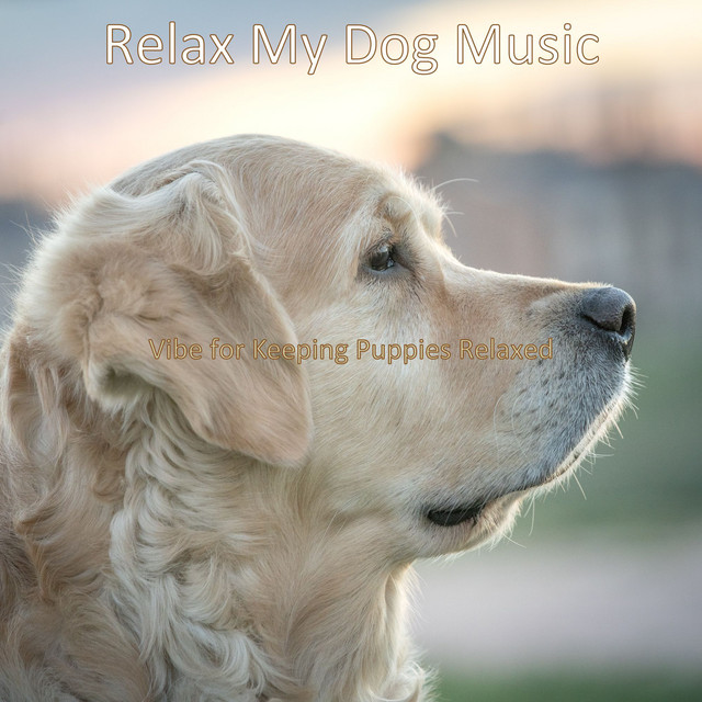 Meditative Music - Background for Leaving Dogs Home Alone