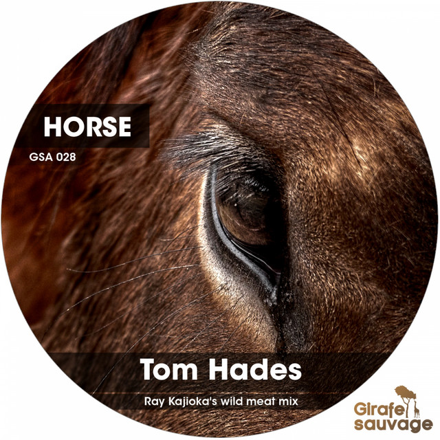 Horse - Ray Kajioka's Wild Meat Mix album art