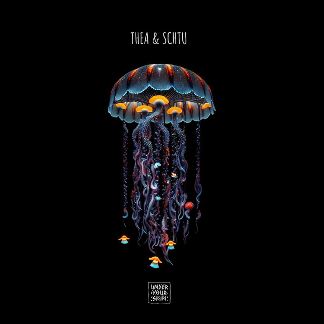 Second Chances album art