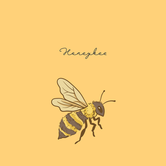 Honeybee cover art