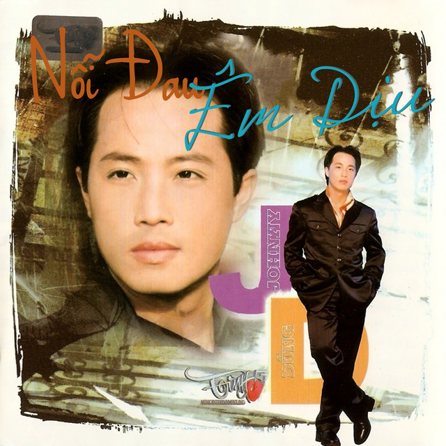 Johnny Dung - Nỗi đau dịu êm cover art