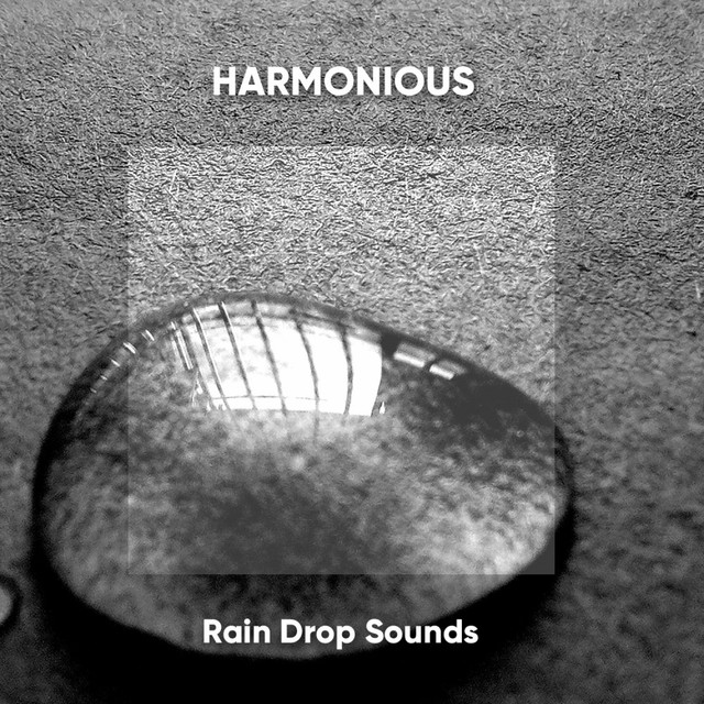 Harmonious Rain Drop Sounds cover art