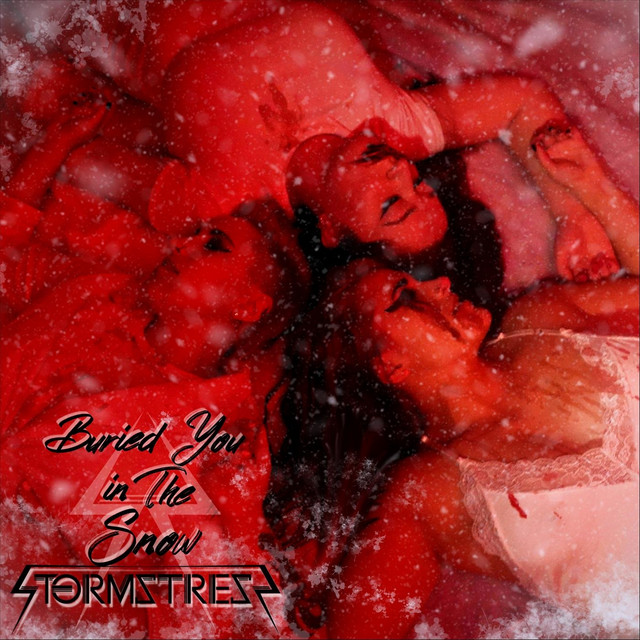 Buried You in the Snow cover