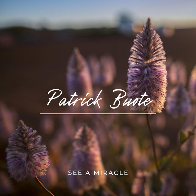 See A Miracle by Patrick Buote
