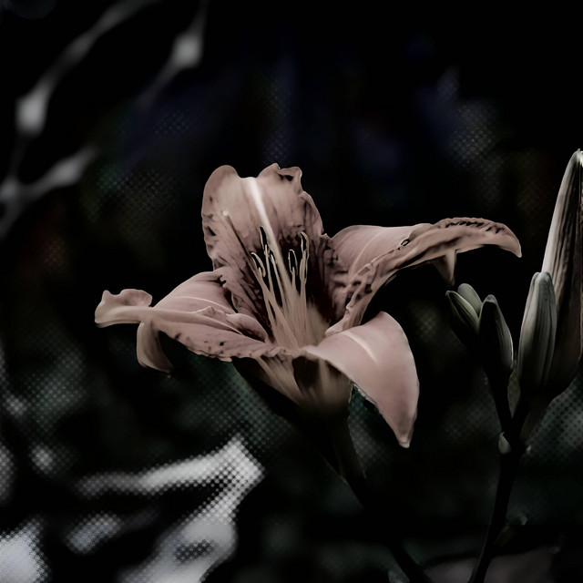 Обкладинка треку FLOWER
