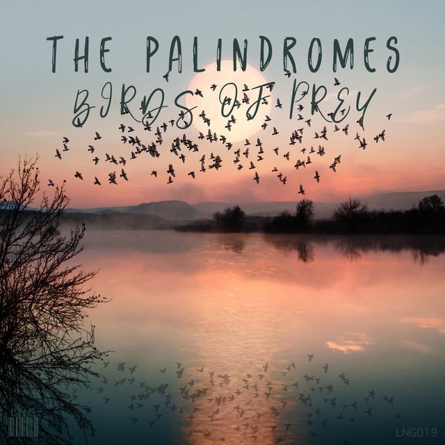 Birds Of Prey