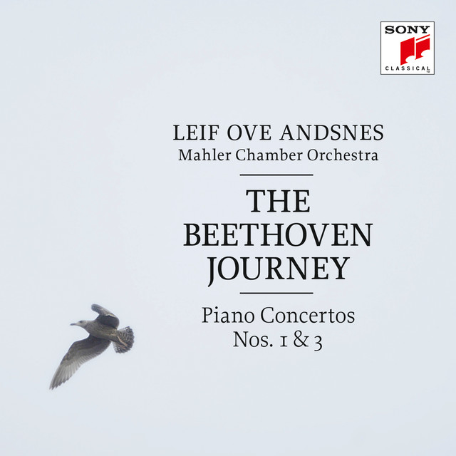 Piano Concerto No. 3 in C Minor, Op. 37: II. Largo