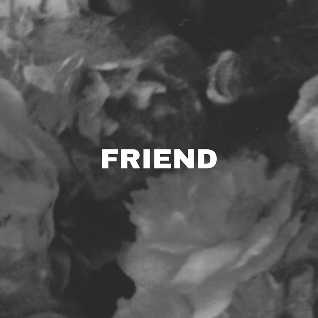 Friend cover
