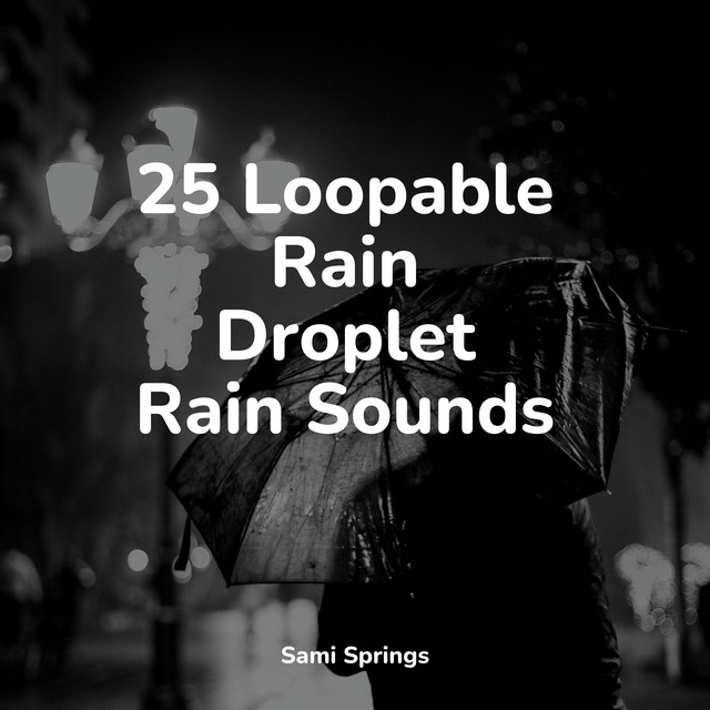 25 Loopable Rain Droplet Rain Sounds - Album by Sleep Sound of Nature ...