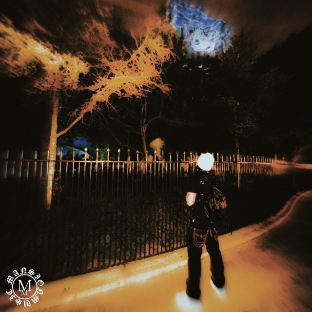undefined album image