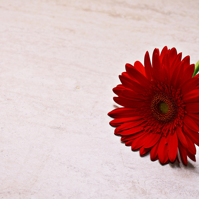 Little Ray of Sunshine Single by Betty John Rowe Spotify