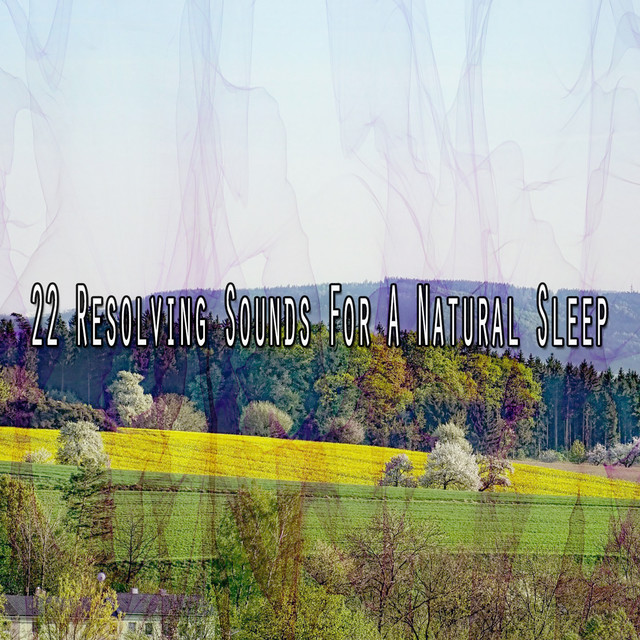 22 Resolving Sounds For A Natural Sleep - Album by Sounds of Nature ...