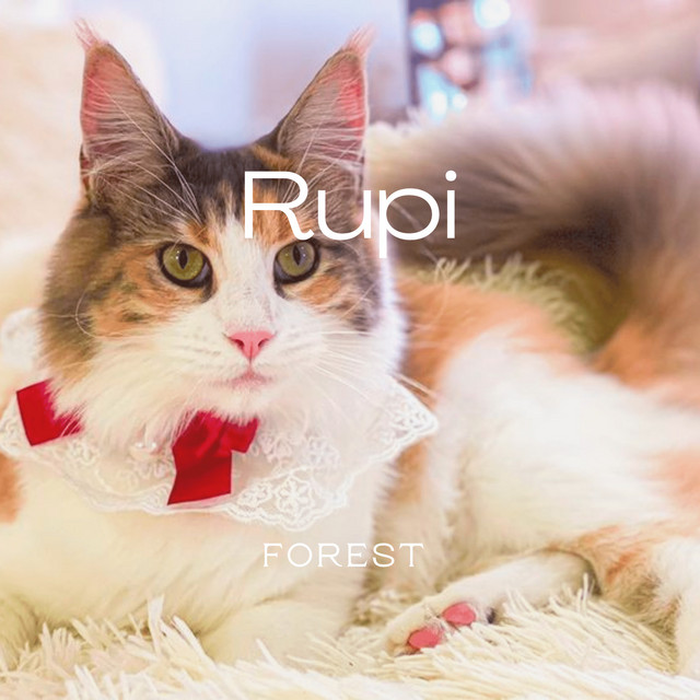 Rupi cover art