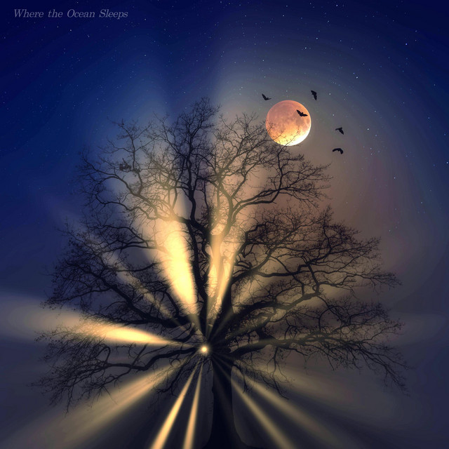 Обкладинка: Where the Ocean Sleeps - Ambient Version — Relax MusicBox