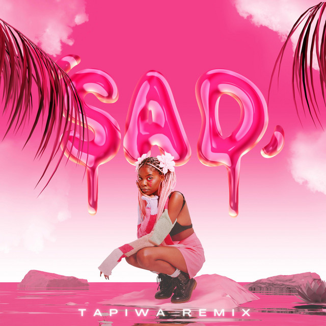 Sad - TAPIWA Remix