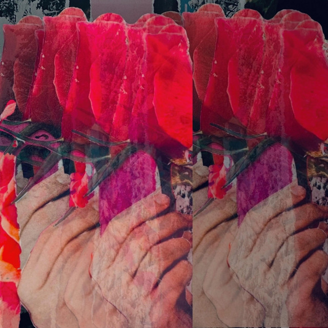 Holding Roses