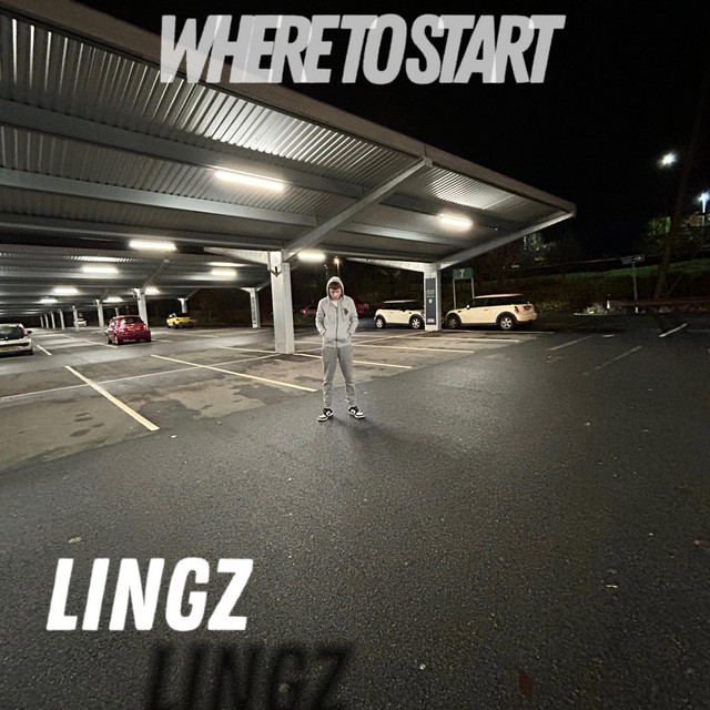 Lingz image