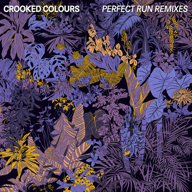 Perfect Run (Remixes) cover