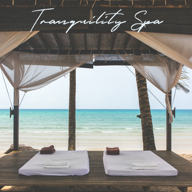 Tranquility Spa cover