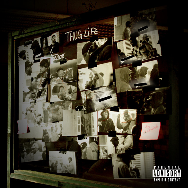 Thug Life cover art