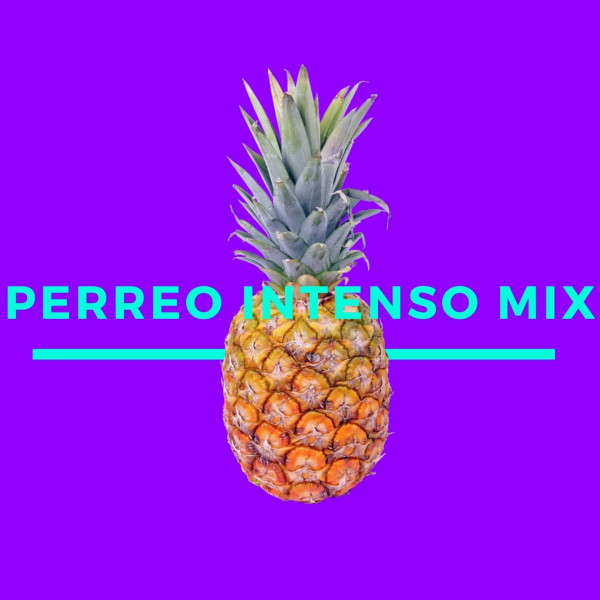 Mix Perreo Brasilero