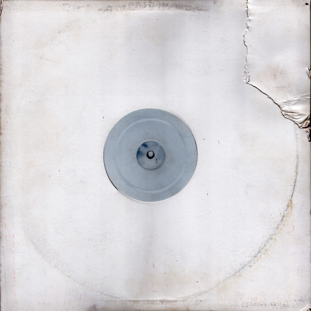 Shadow Dog cover art