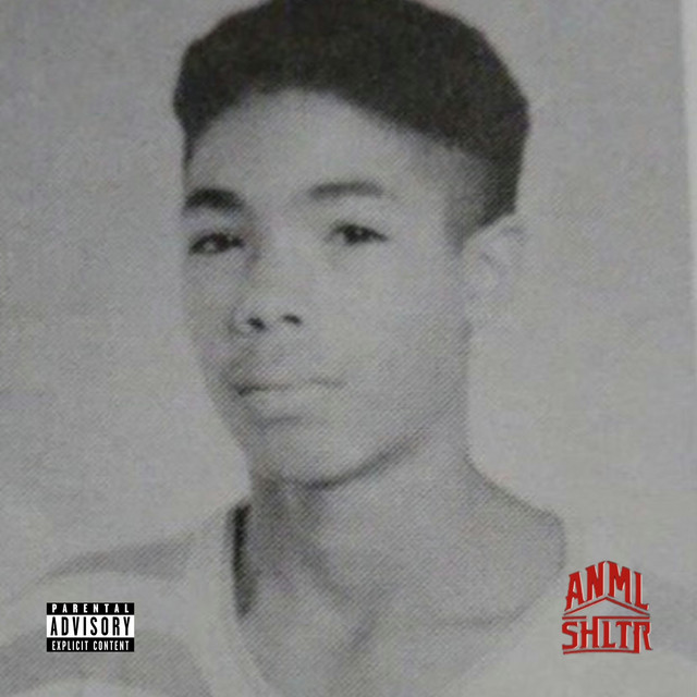 LIL BRUH NEM cover