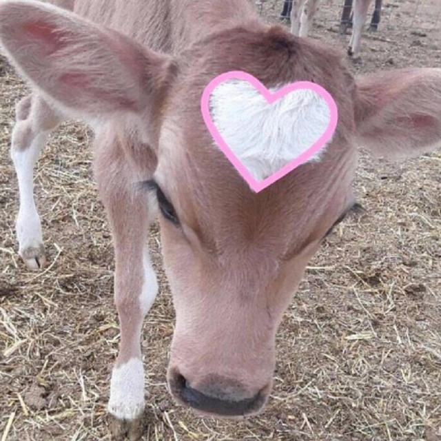 Ti amo solo il venerdì