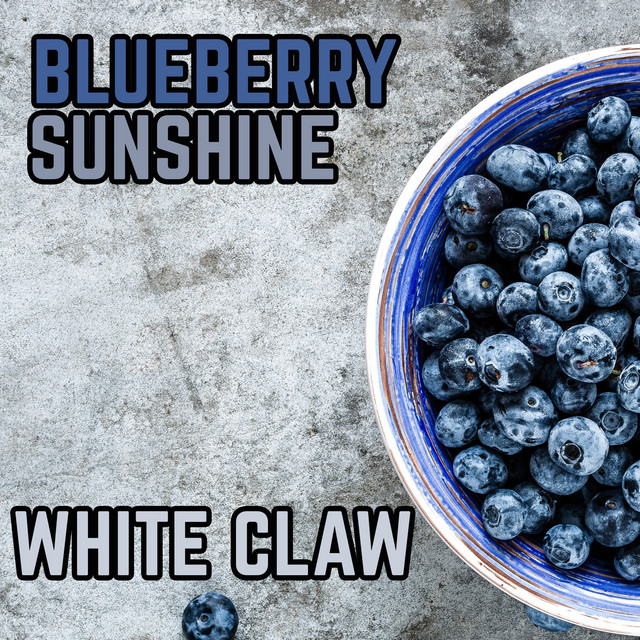 Blueberry Sunshine Photo