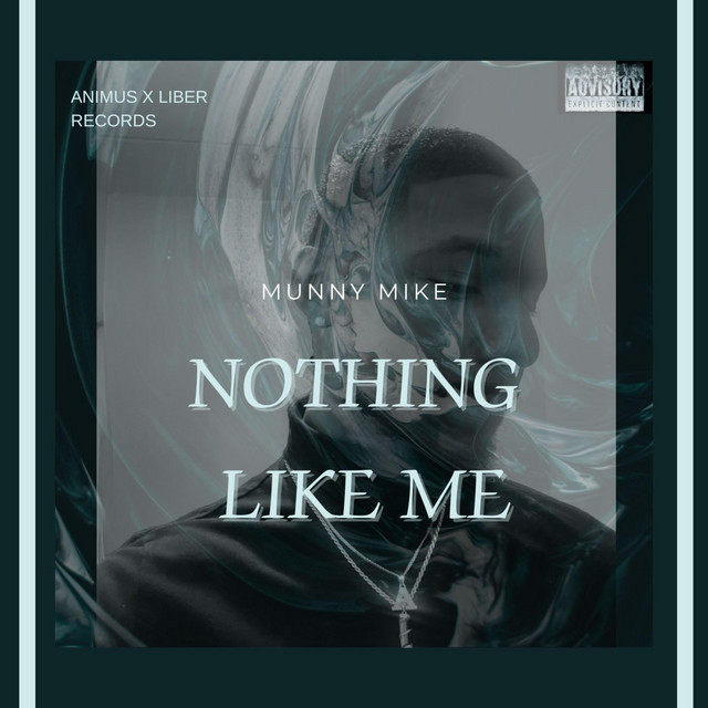 Nothing Like Me
