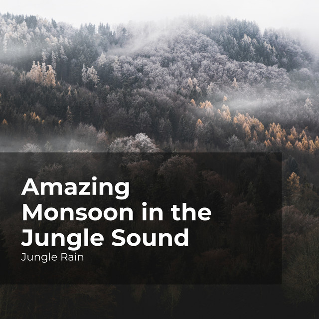 Amazing Monsoon in the Jungle Sound - Album by Jungle Rain | Spotify