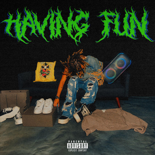 Having Fun cover art