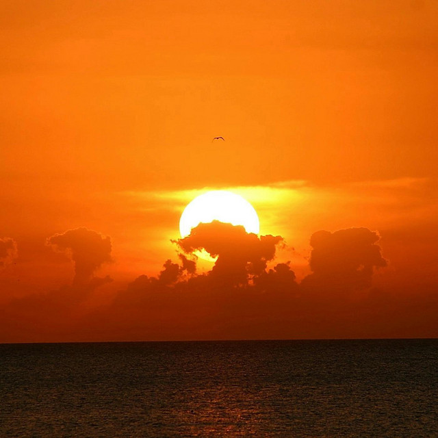 Bob Shafto photo