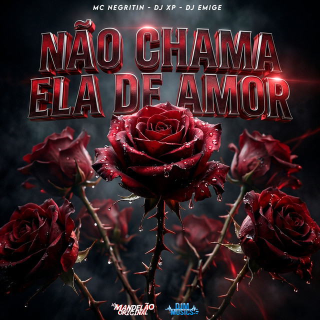 Não Chama Ela de Amor