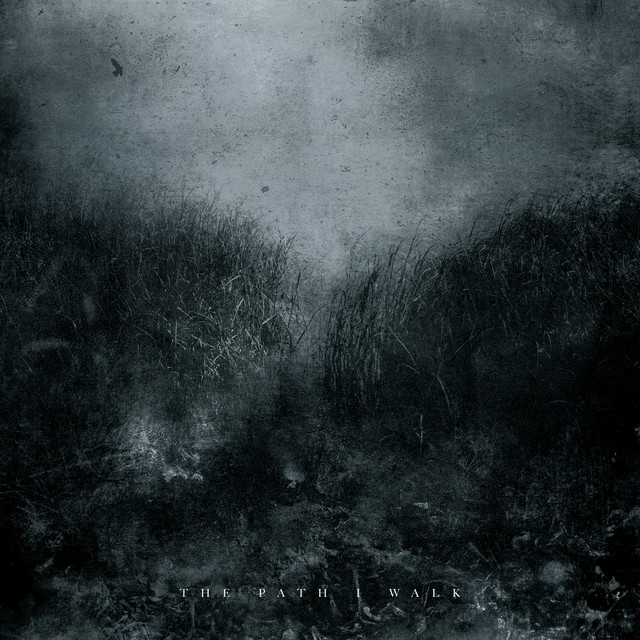 The Path I Walk (feat. Tina Guo) album image