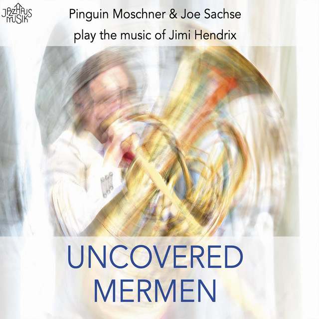 Pinguin Moschner