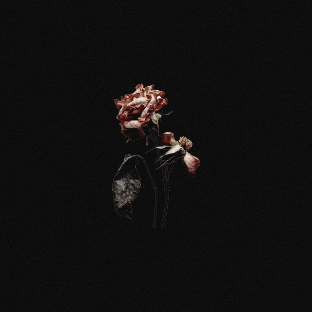 Broken cover art