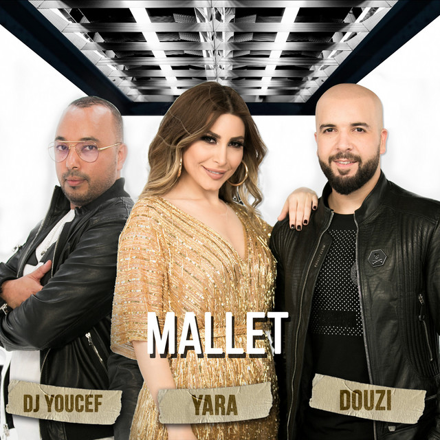 Mallet cover art