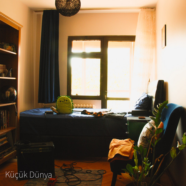 Küçük Dünya cover art