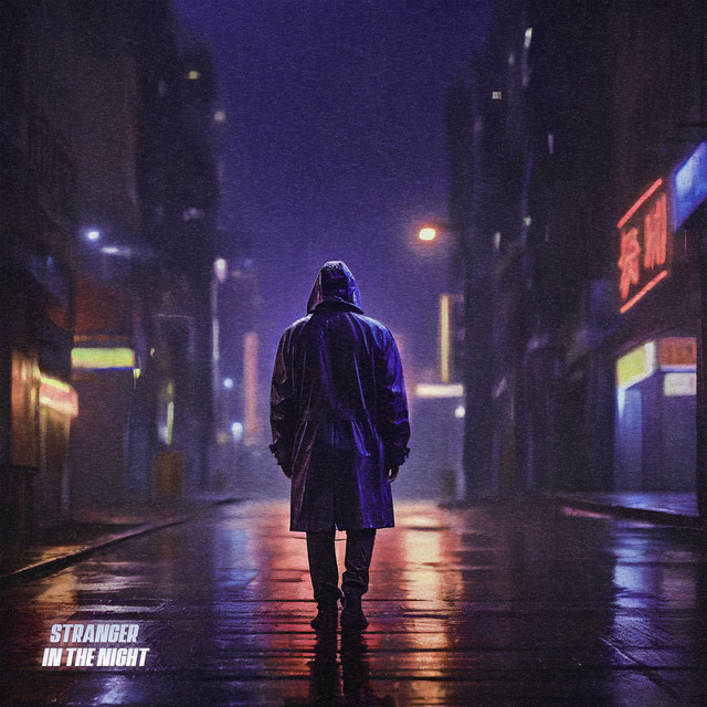 Stranger in the Night - Instrumental