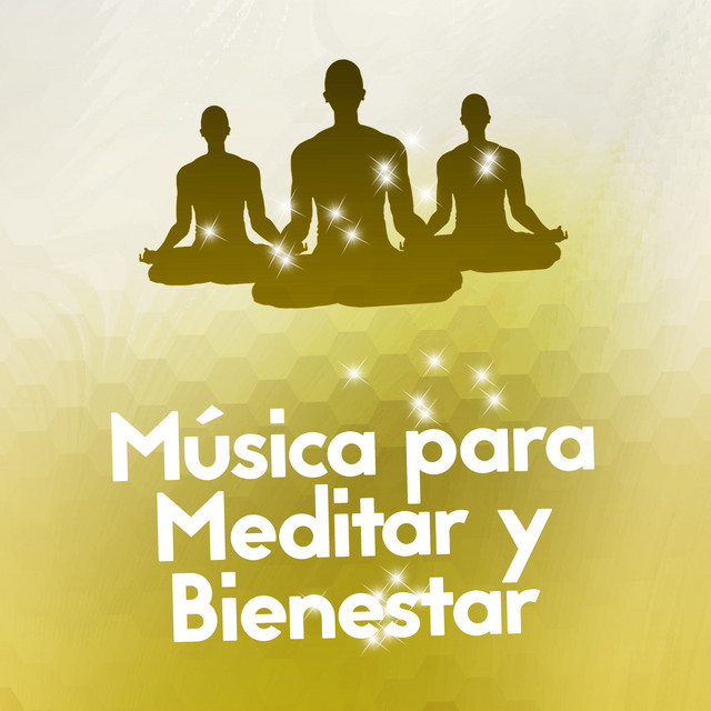 Música para Meditar y Bienestar cover art