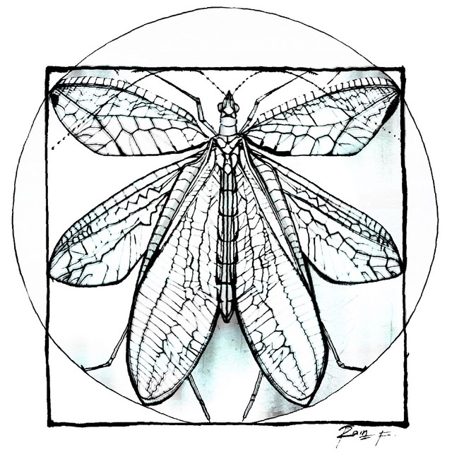 imago cover art