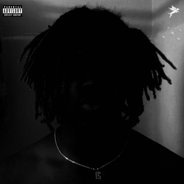 15 cover art