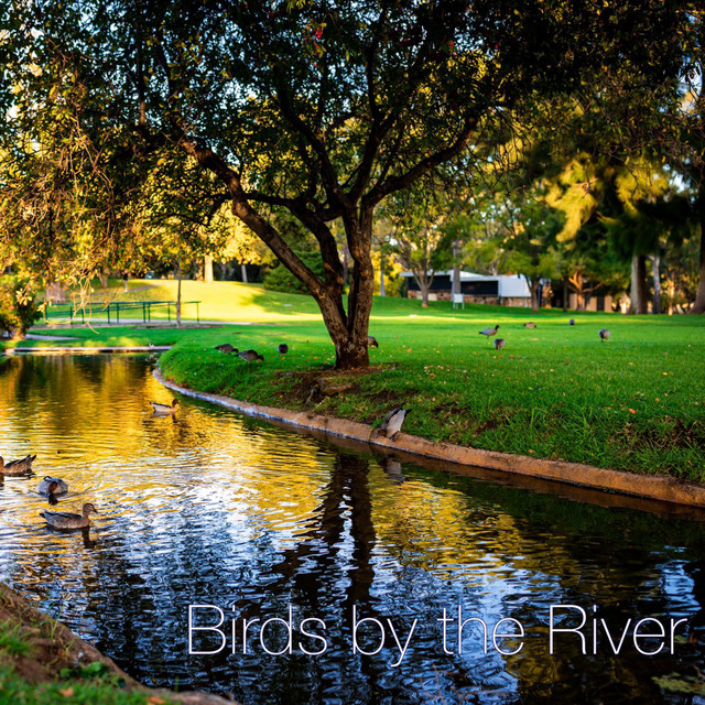 Birds by the River cover art