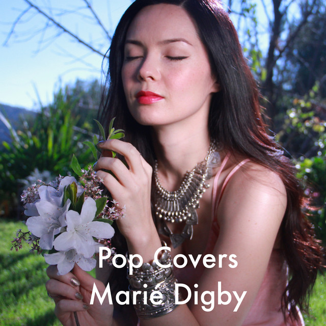 Pop Covers cover art