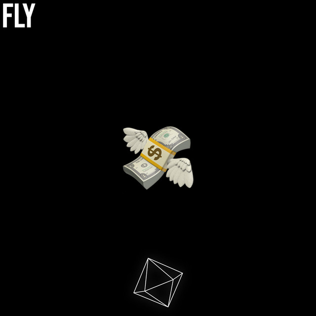 FLY cover