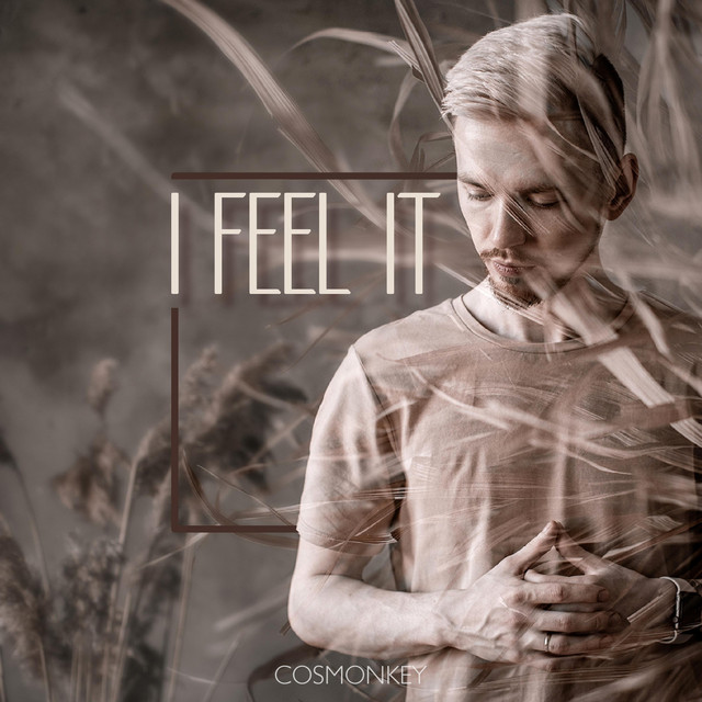 I Feel It cover art
