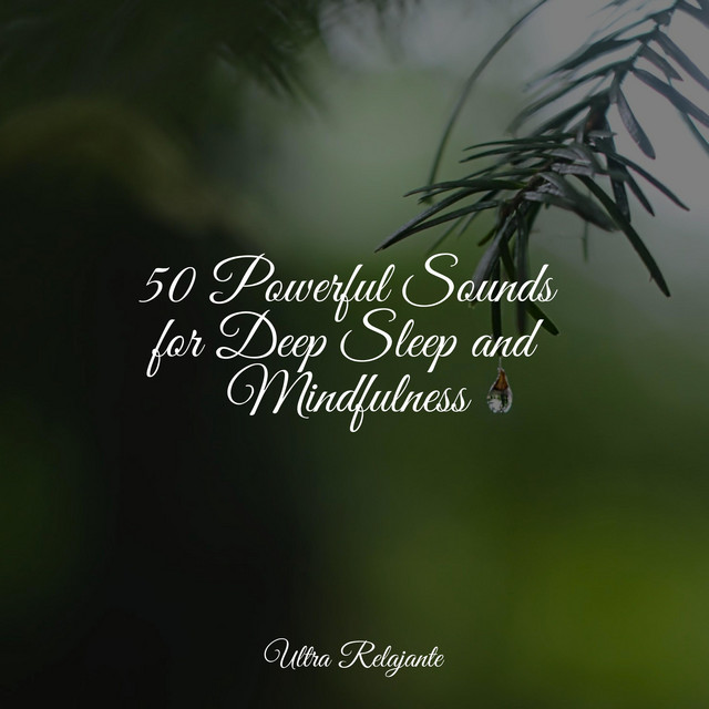 50 Powerful Sounds for Deep Sleep and Mindfulness - Album by Namaste ...